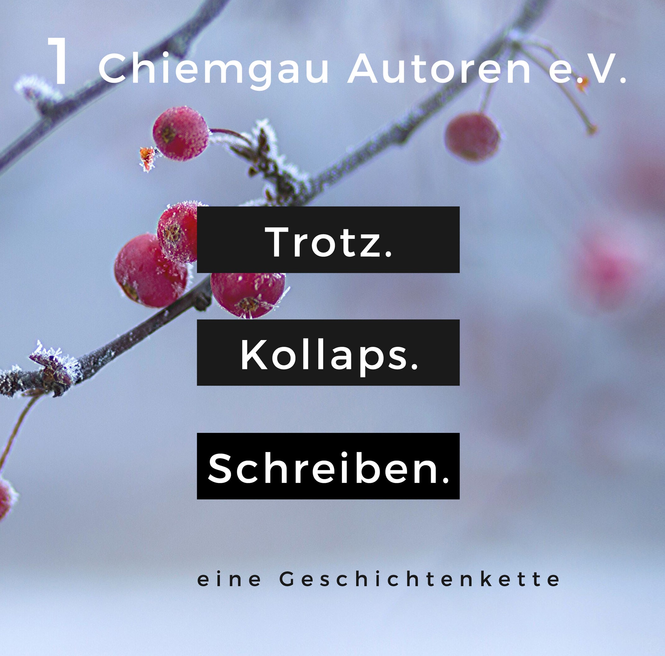 Buchcover Trotz.Kollaps.Schreiben_Cover